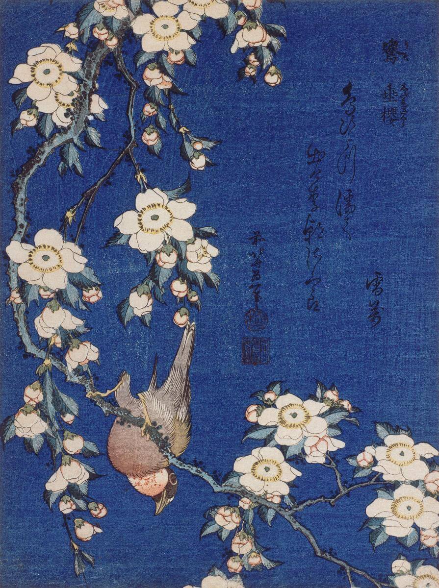 Gimpel und Kirschblüte - Hokusai - Image 3